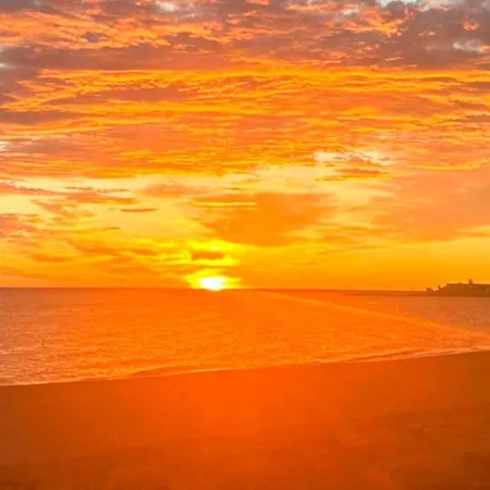 Catamaran Ii By Costa * Dénia